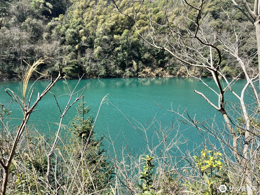 好春光，一定要出去踏青——宁波福泉山登山步道