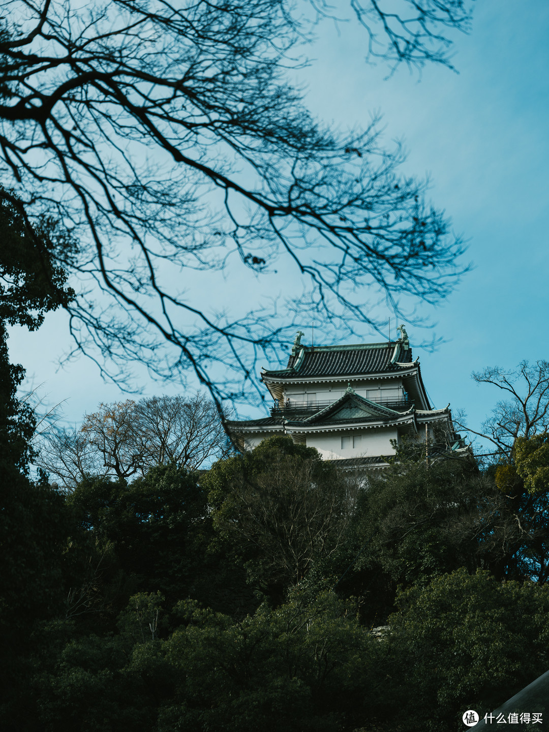 2024春节日本之行-DAY2H2，和歌山一日游之东照宫、和歌山城