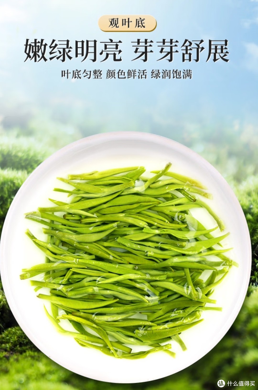 一杯香茶叶绿茶明前碧螺春嫩芽2023新茶春茶散装礼盒自己喝送礼品袋250g