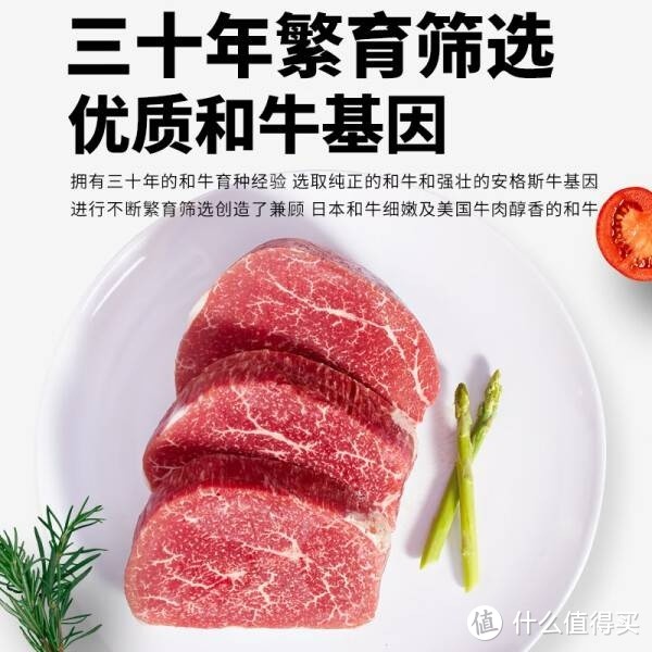 真牛馆 谷饲安格斯 牛肉牛排西冷肉眼雪花牛排 谷饲和牛小牛排150g*5片装