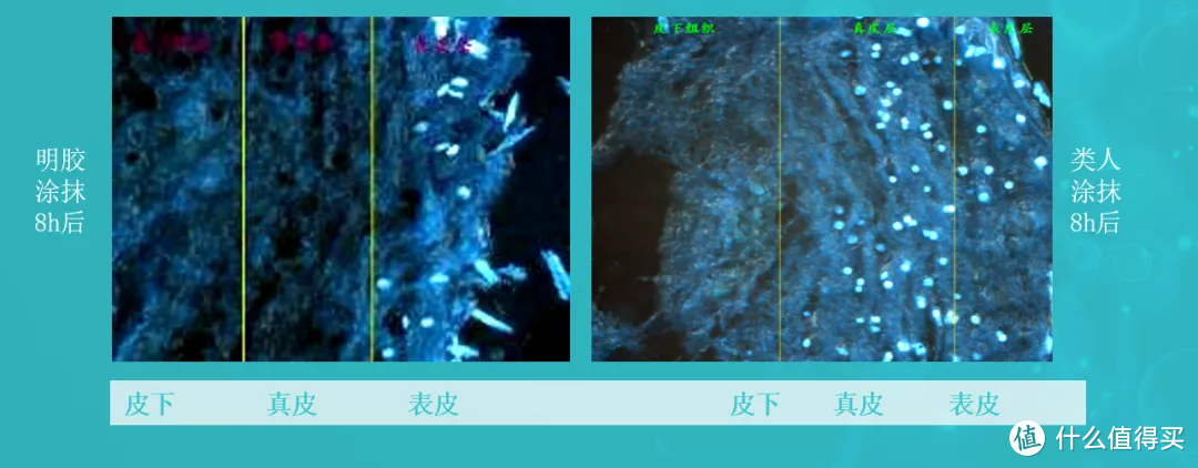 急救宝藏单品：可复美重组胶原蛋白敷料