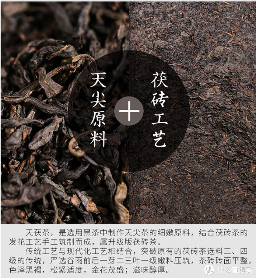 白沙溪天茯茶，喝过吗？