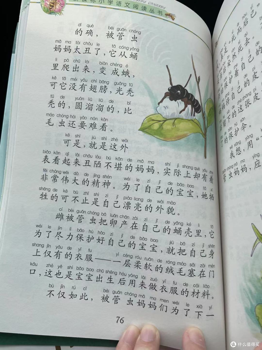 等雌性被管虫生下小幼虫,就会给小幼虫做衣服.到了六月底的