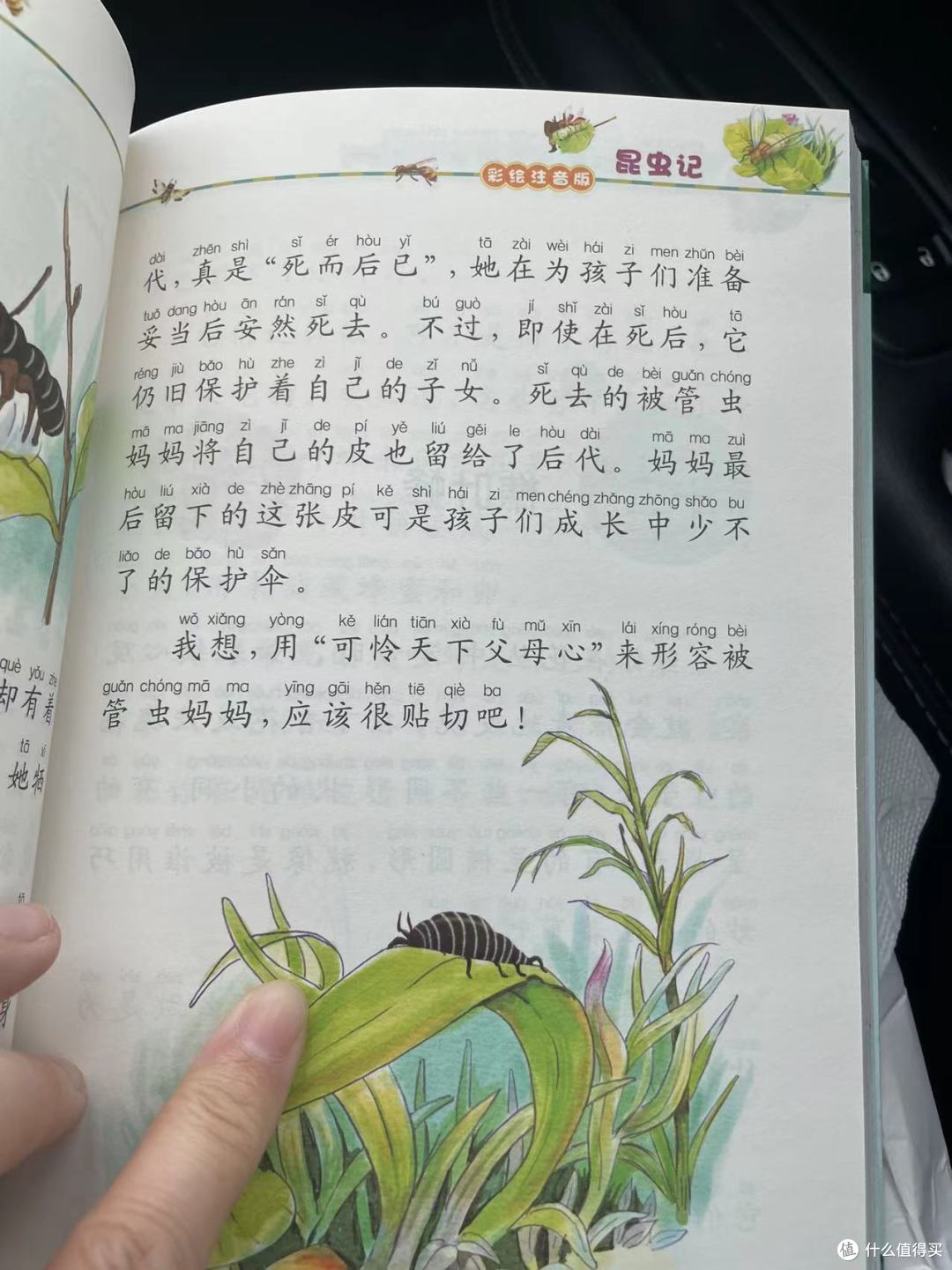 和娃一起读《昆虫记》之爱美的被管虫