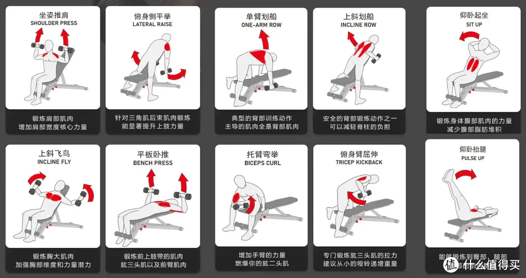 如何挑选好用的哑铃凳？这些选购要素不得不看！内附6大品牌哑铃凳参数