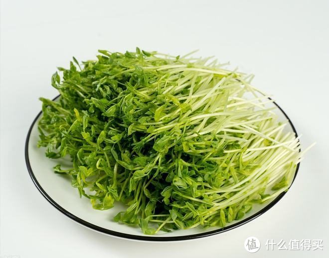 “春吃芽，鲜掉牙”，鲜香又嫩，既顺应时节，又鼓励生发之气，倍益健康