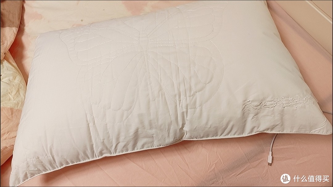 2春风里A类全棉蚕丝枕单人枕头枕芯家用成人枕芯亲肤蚕丝枕单只装