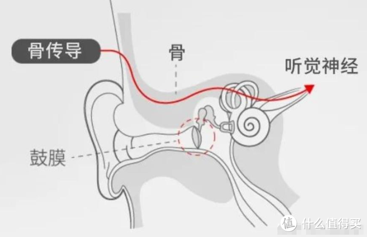 运动听音乐，不伤耳，有了南卡Neo 2骨传导运动耳机随时体验音乐绕耳