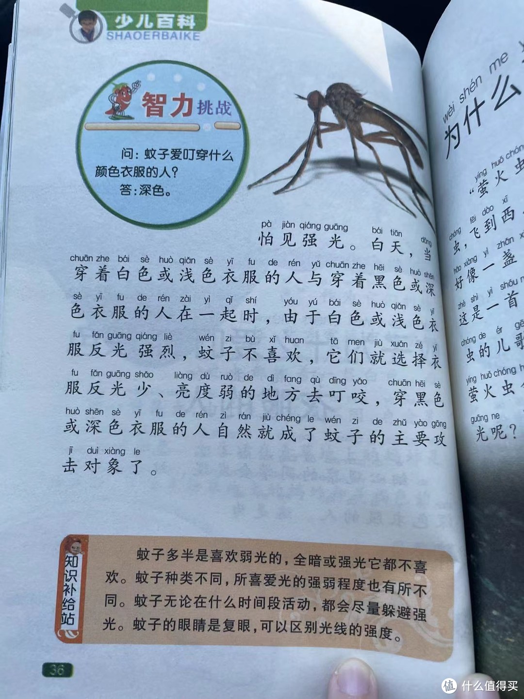 中国孩子的百科全书之蚊子为什么爱叮穿深色衣服的人