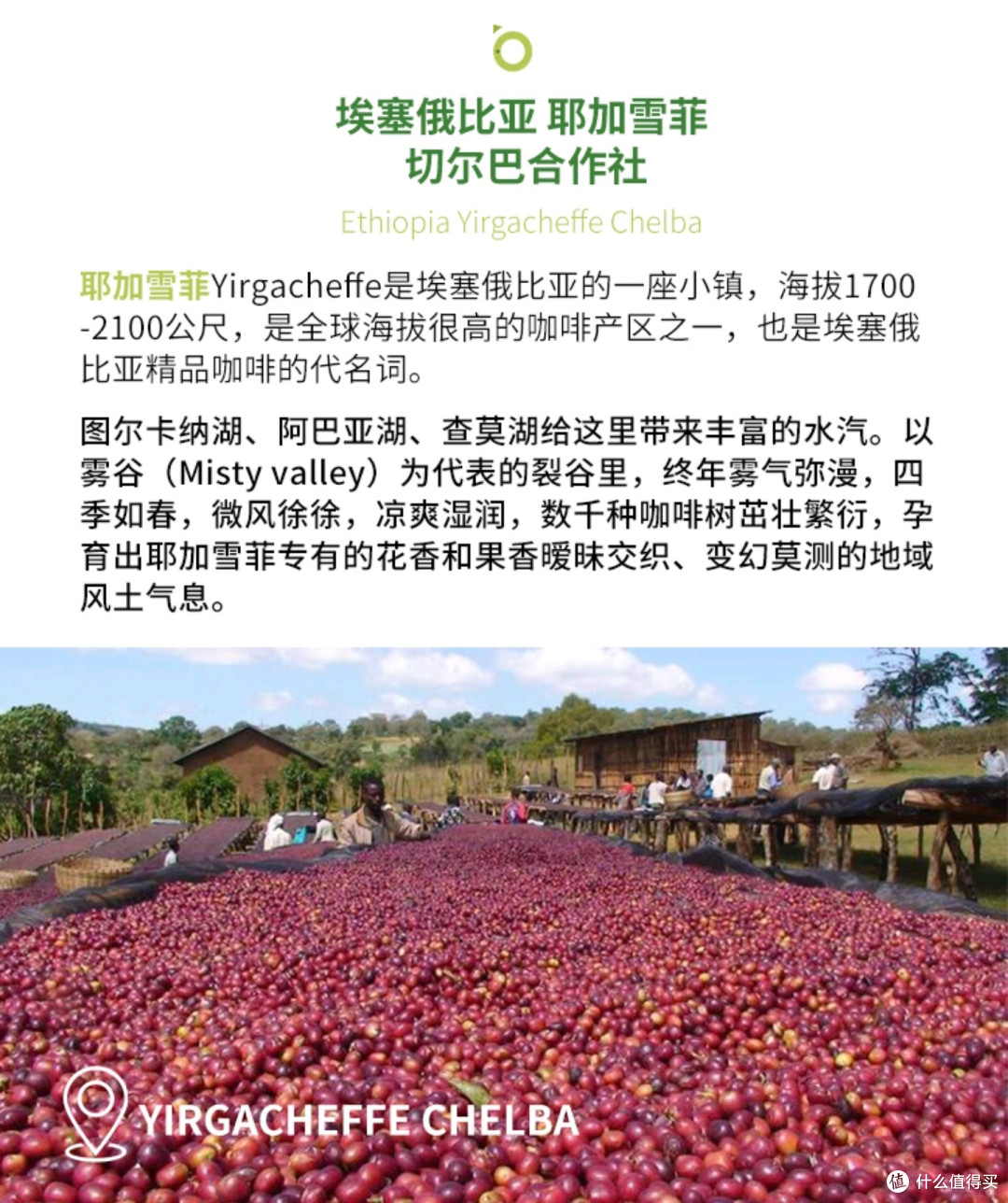 开工咖啡豆的分类产地特点一览