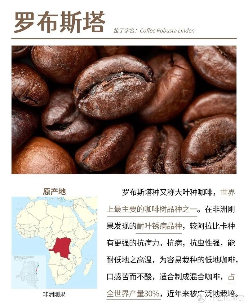 探索咖啡的世界:品种、口感与独特之处