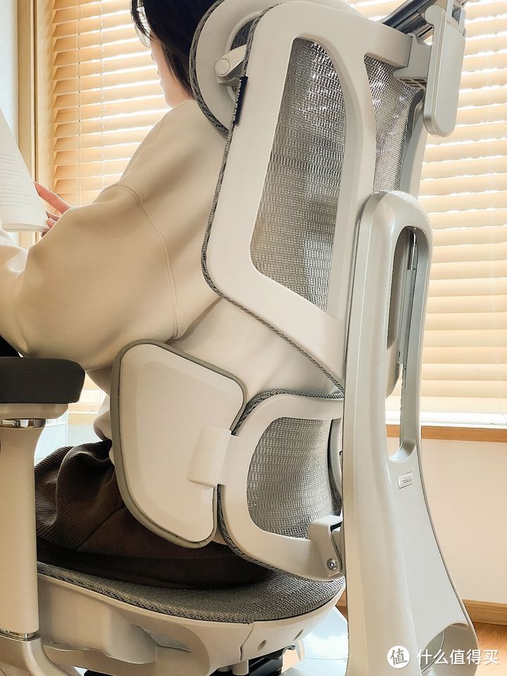 怎样才能买到一款靠谱的人体工学椅？为什么那么多人买有T形支撑系统黑白调E3结构大师人体工学椅？