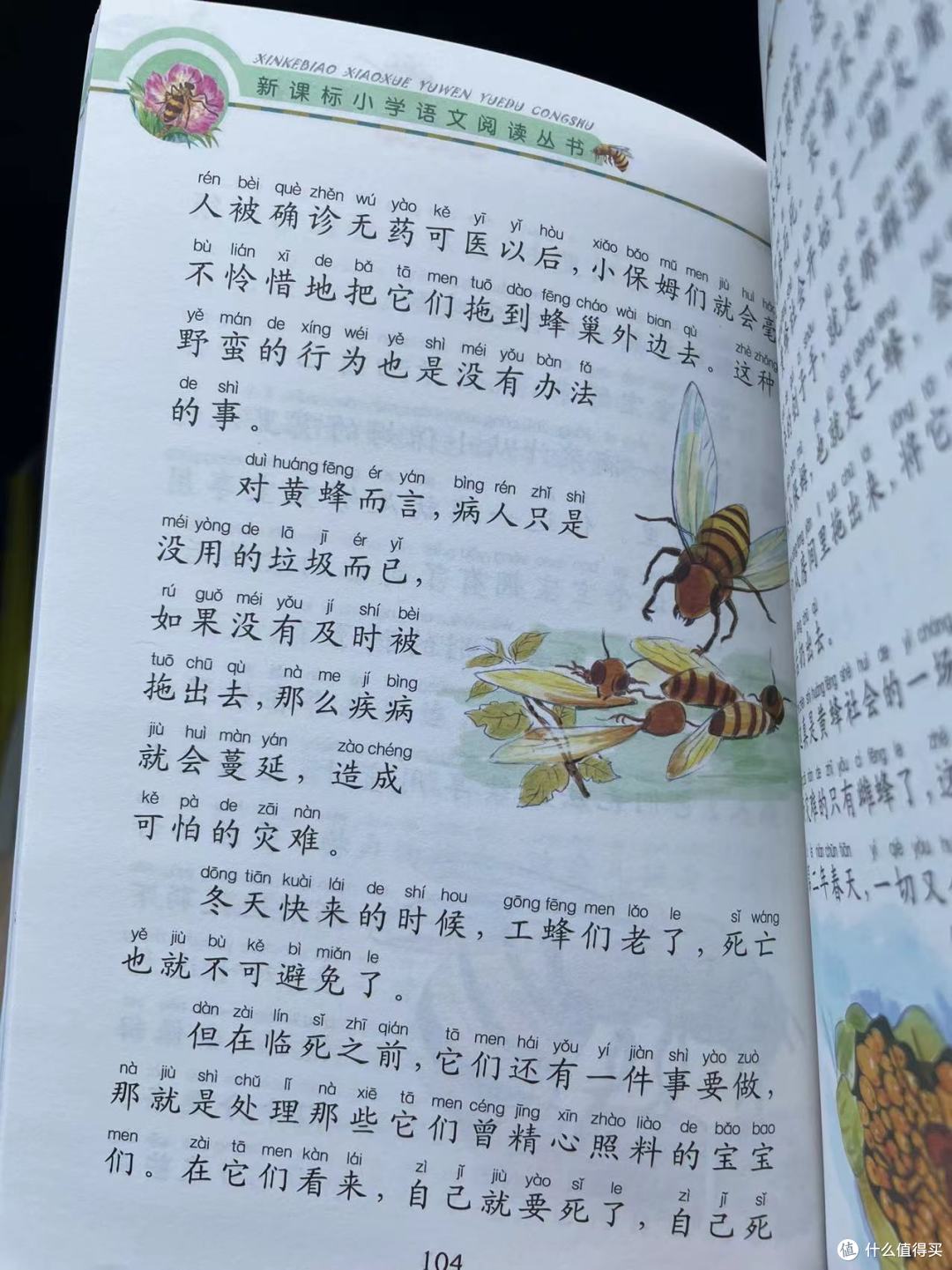 和娃一起读《昆虫记》之黄 蜂