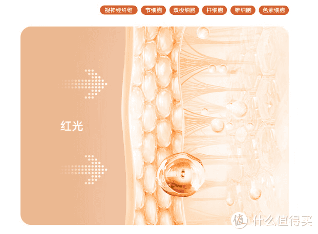 台灯学生用哪个牌子最好？五款超好用的护眼台灯口碑机型测评