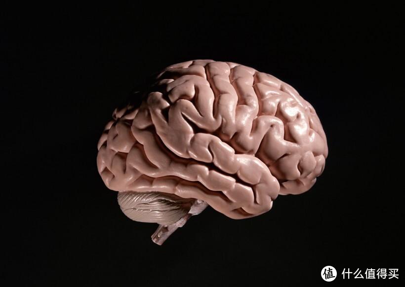 人的大脑，对比华为AI芯片昇腾910B，性能仅为3%？