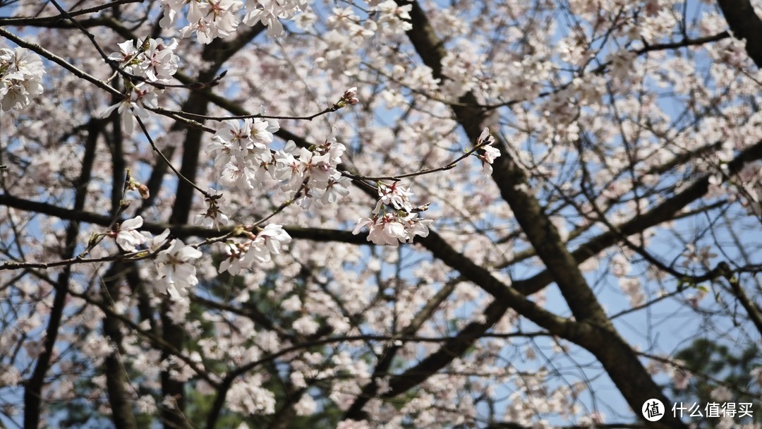 【春季出游】萌芽必备好物🎒，爸爸妈妈看过来👀