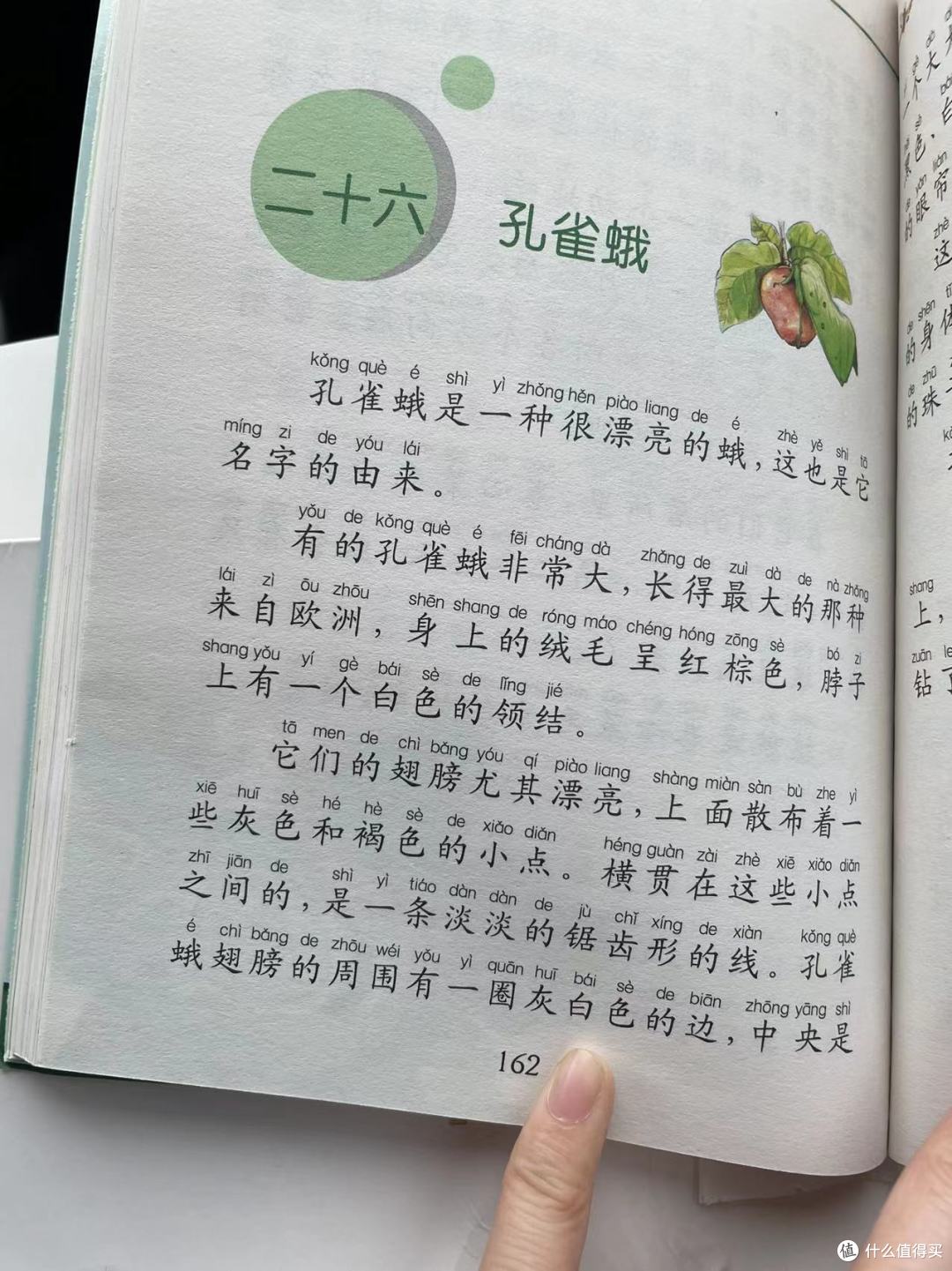 和娃一起读《昆虫记》之孔雀蛾
