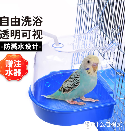 干净健康很重要，使用鹦鹉洗澡盆