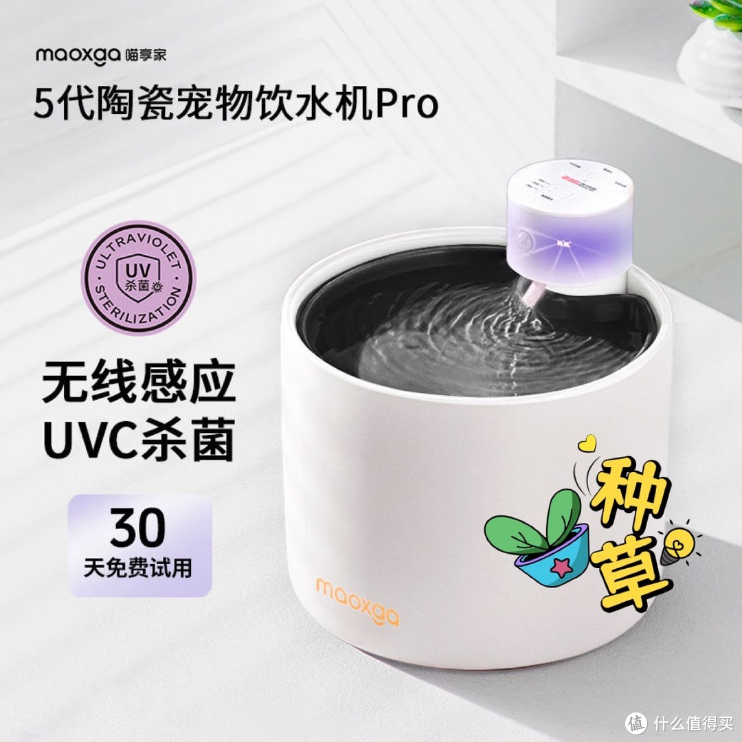 盘点两款备受欢迎的宠物饮水器，你家用过吗？