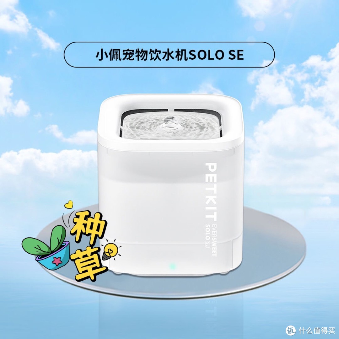 盘点两款备受欢迎的宠物饮水器，你家用过吗？