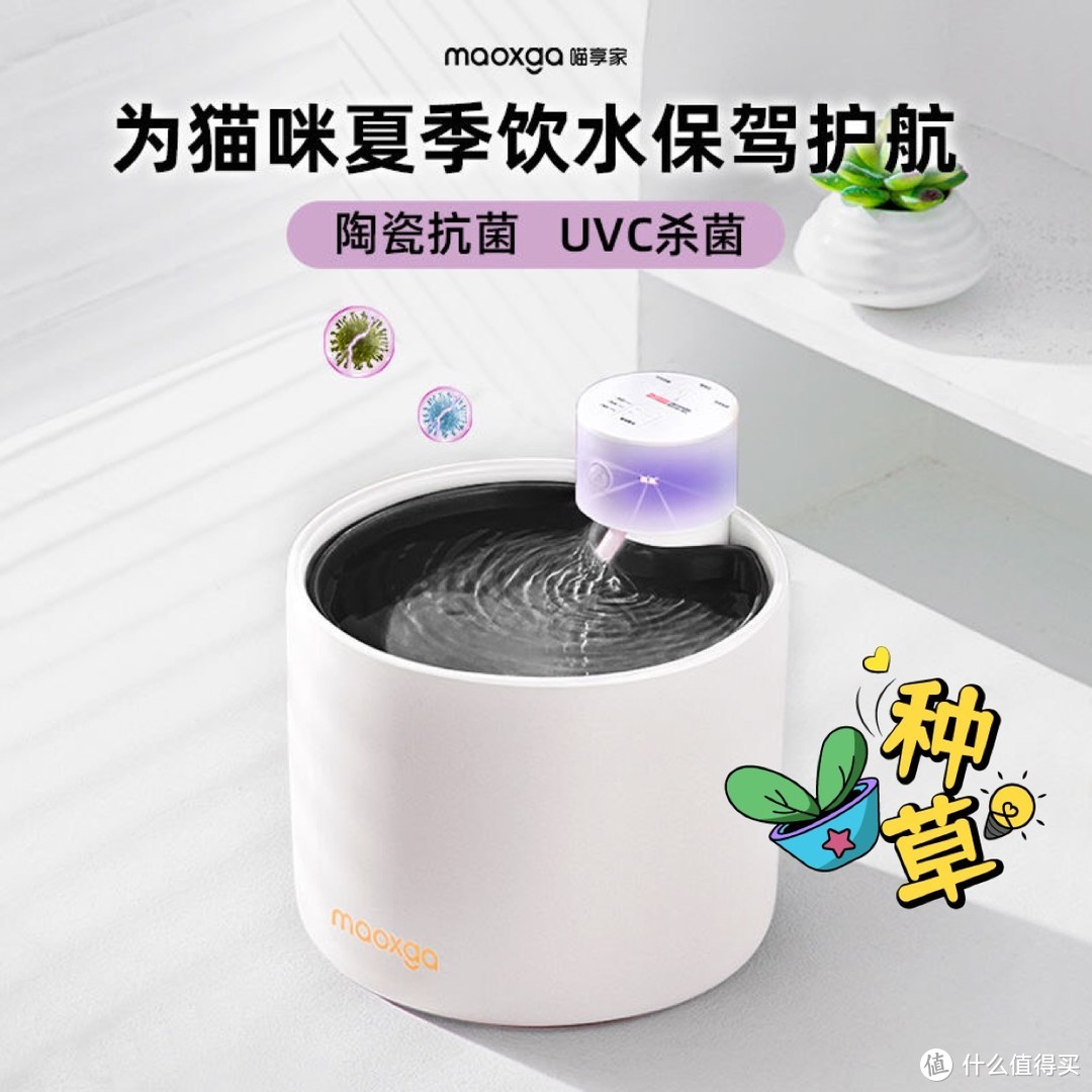 盘点两款备受欢迎的宠物饮水器，你家用过吗？