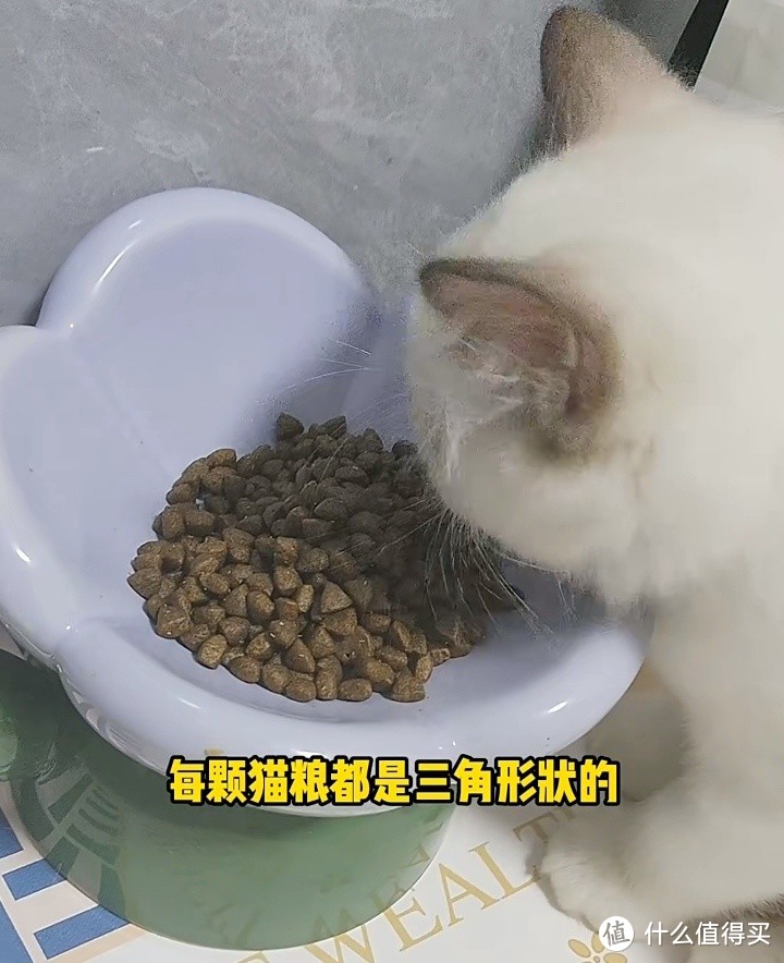 解锁养宠物猫粮好物，网易严选天成猫粮奶糕粮幼猫专用粮主粮。