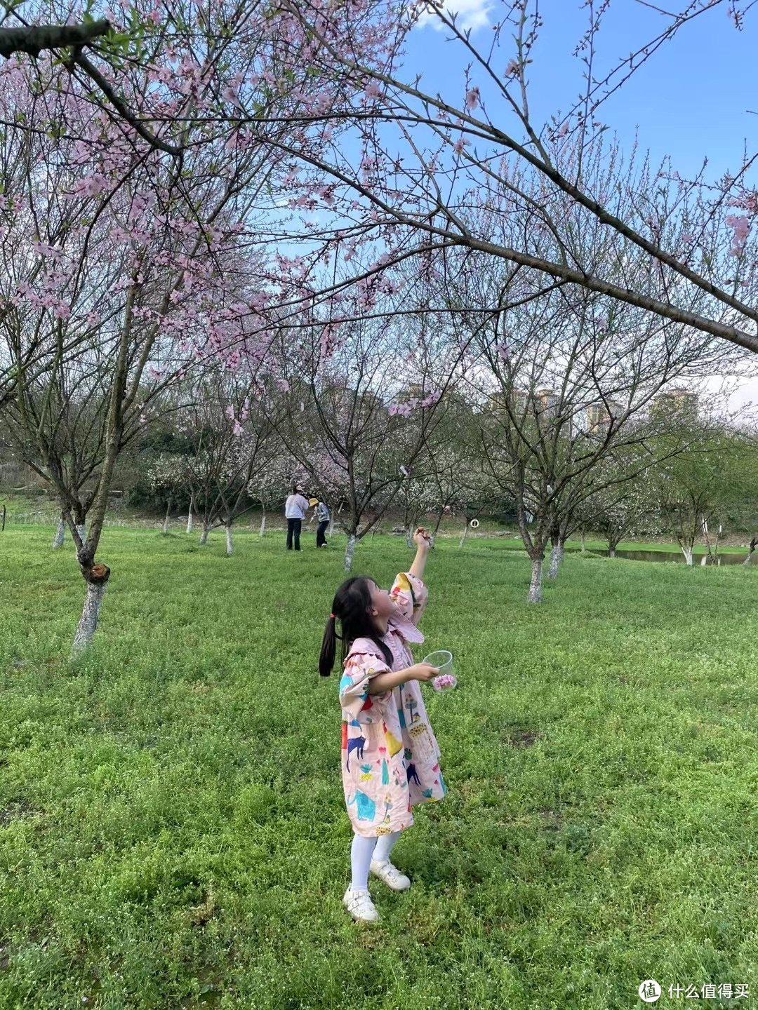 春天带娃回乡下，阵鱼、掏蛋、采野菜、赏花，很快乐。