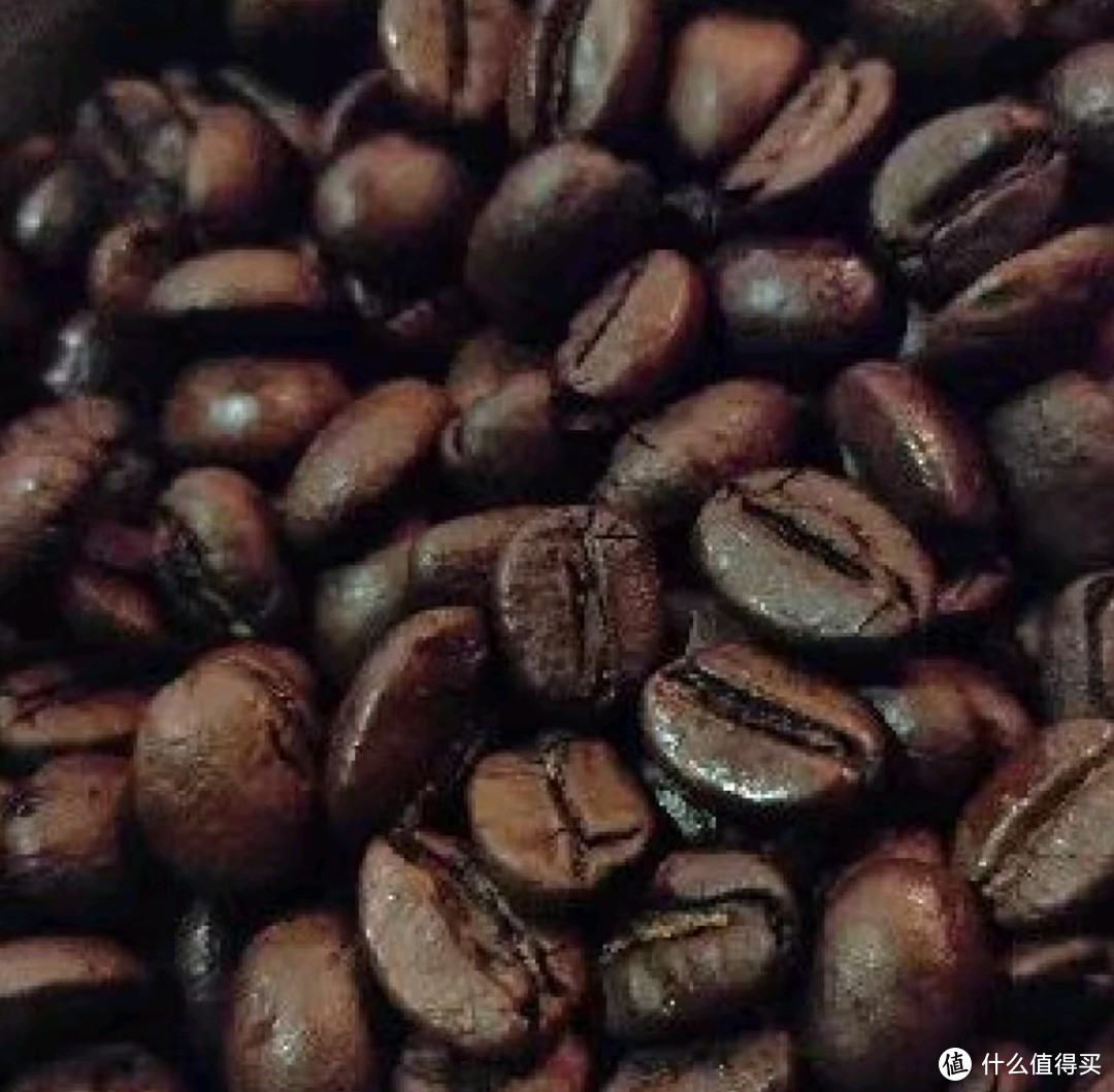 云南阿拉比卡咖啡豆，打工人的新宠？