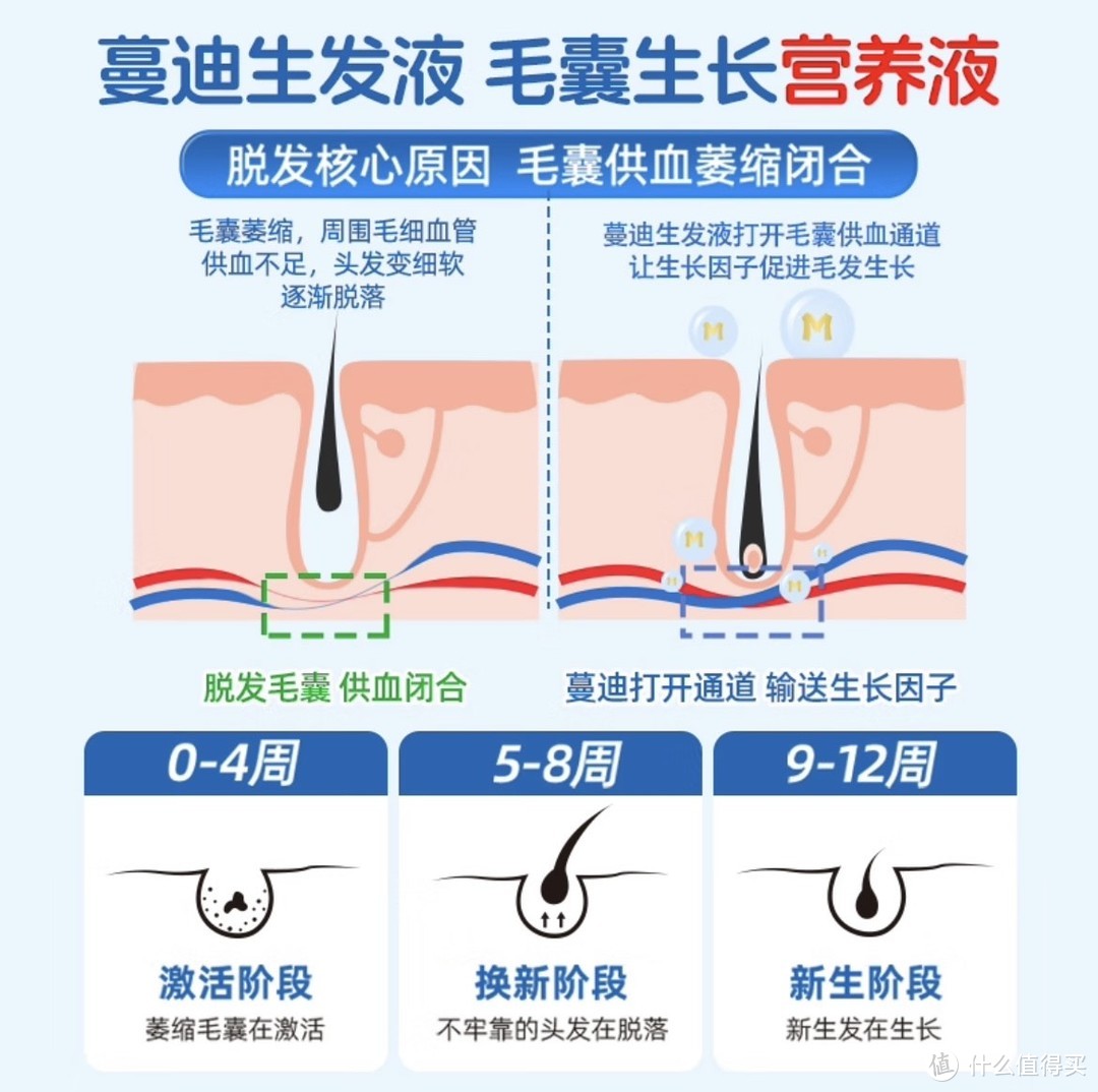 脱发问题的深度解析与科学养护策略