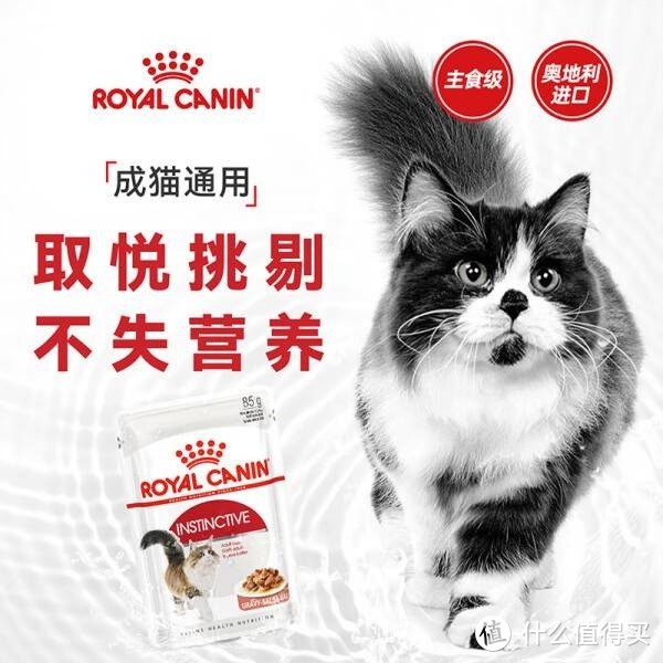 猫咪也爱奢华生活！皇家猫粮成猫湿粮，每一口都是享受！