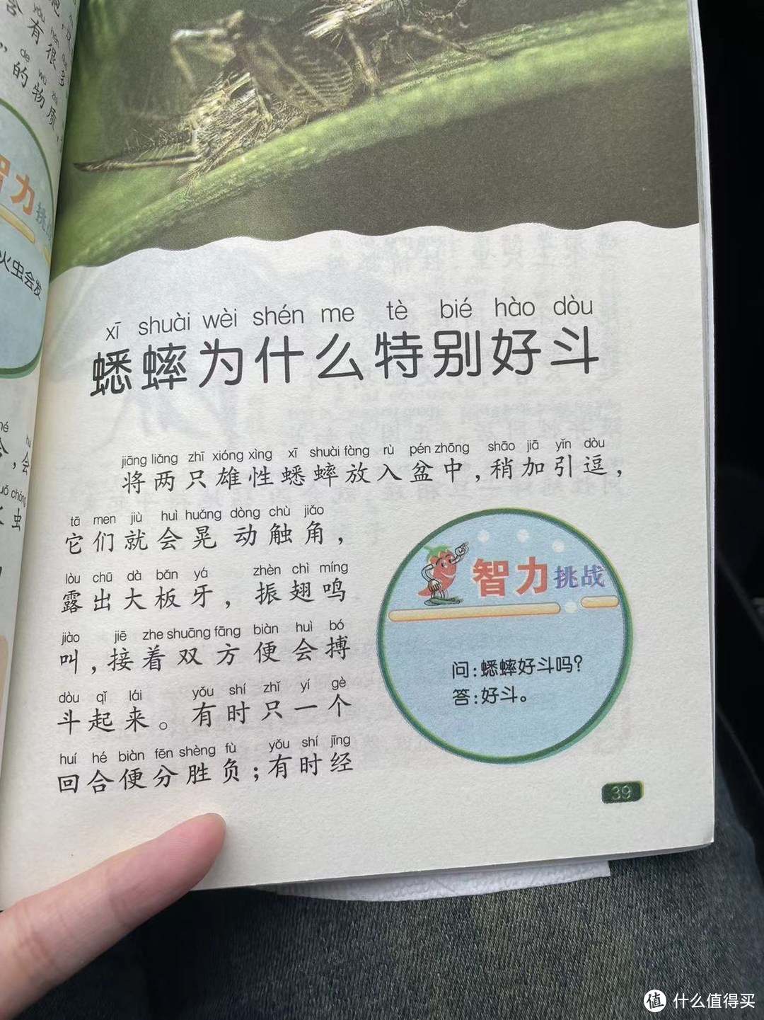 中国孩子的百科全书之蟋蟀为什么特别好斗