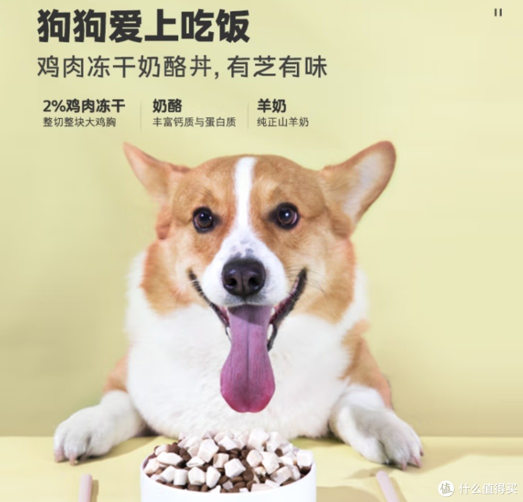 卫仕狗粮：食荟冻干犬粮，全方位关爱狗狗的美食之选