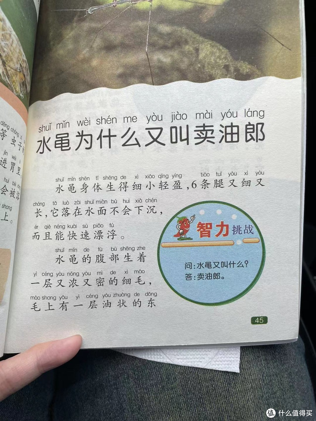 中国孩子的百科全书之水黾为什么又叫卖油郎