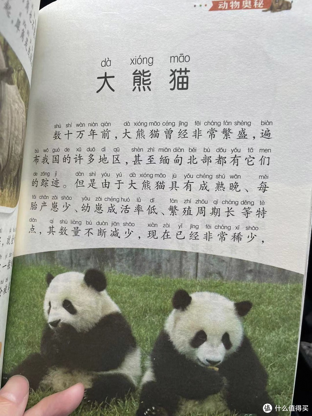 中国孩子的百科全书之大熊猫