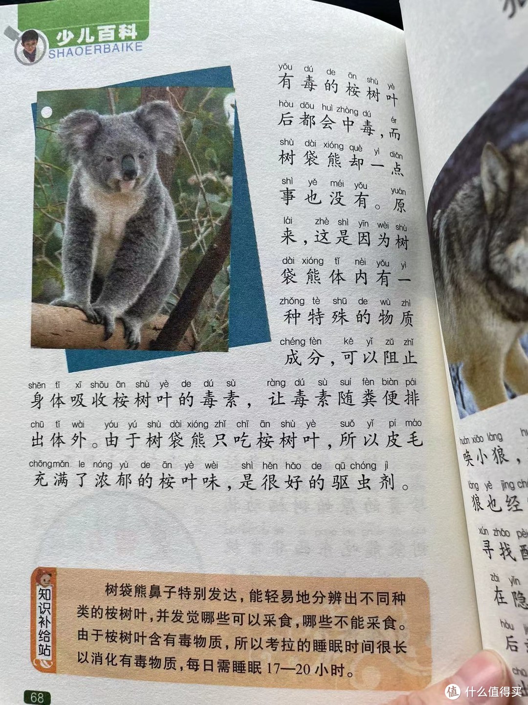 中国孩子的百科全书之树袋熊