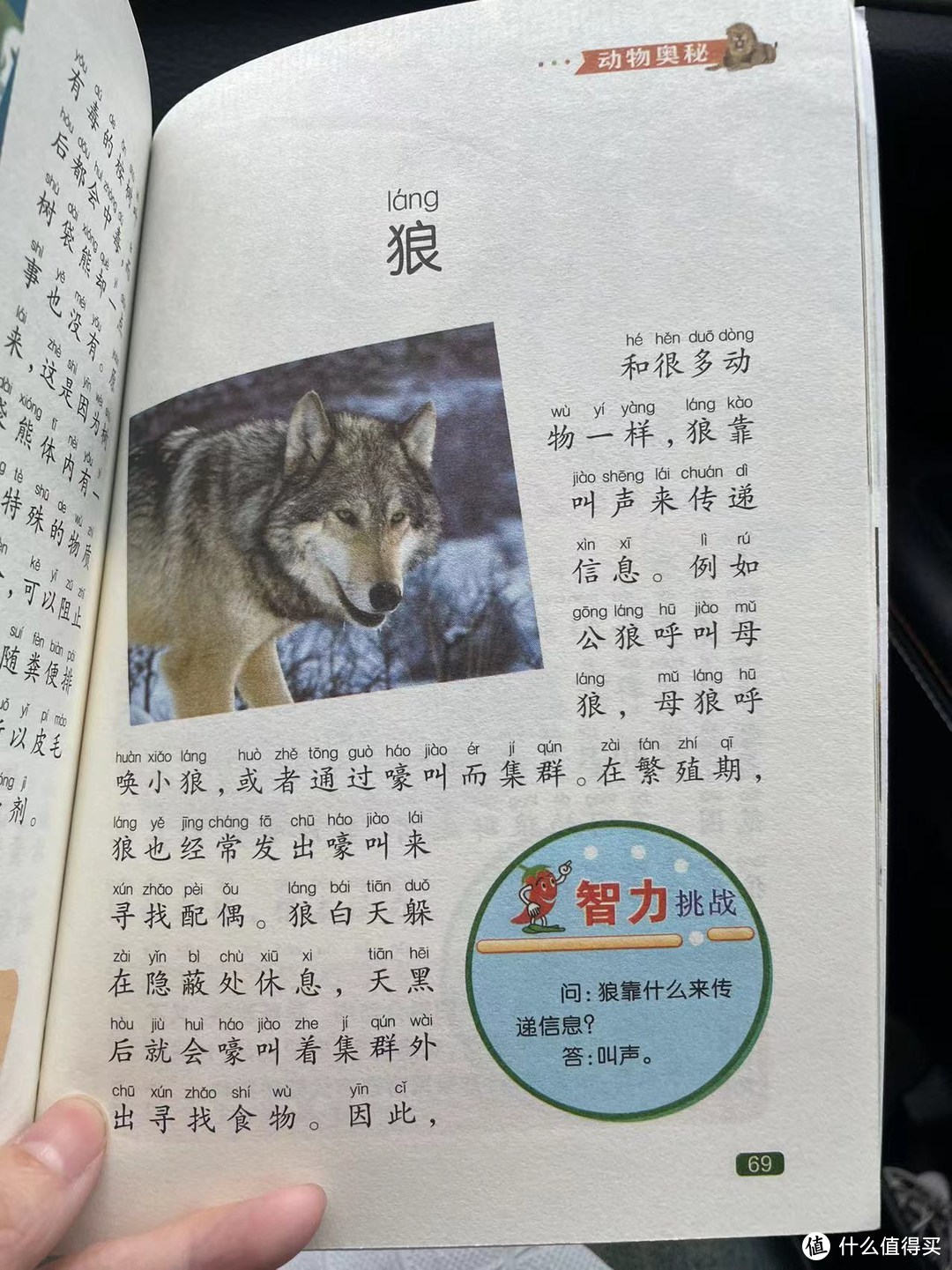 中国孩子的百科全书之狼