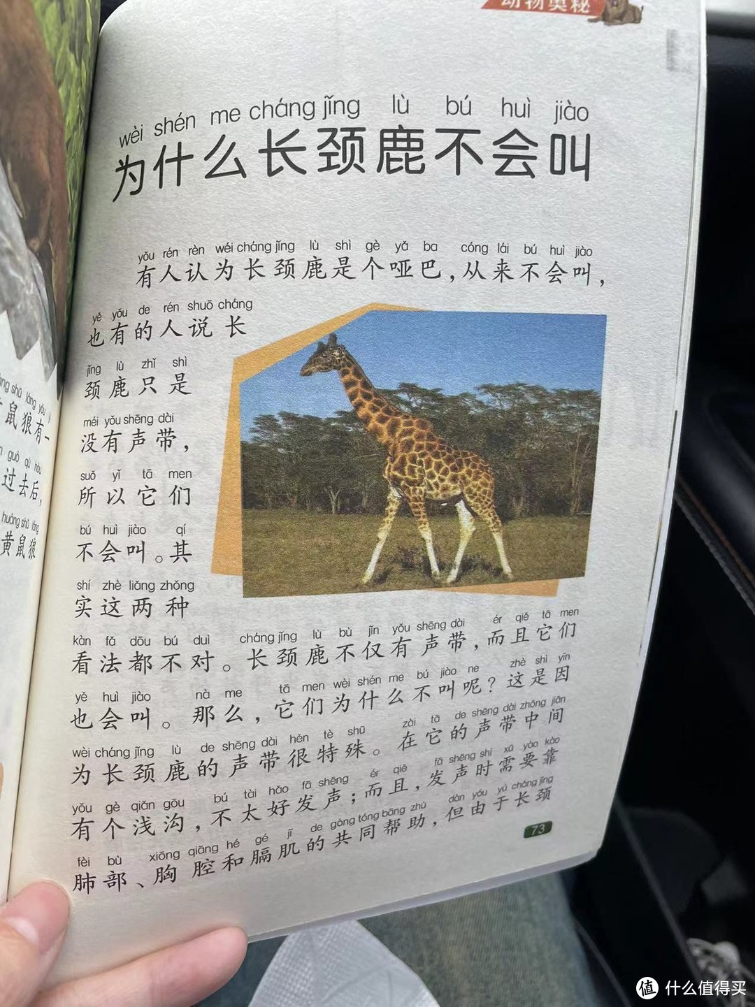 中国孩子的百科全书之为什么长颈鹿不会叫