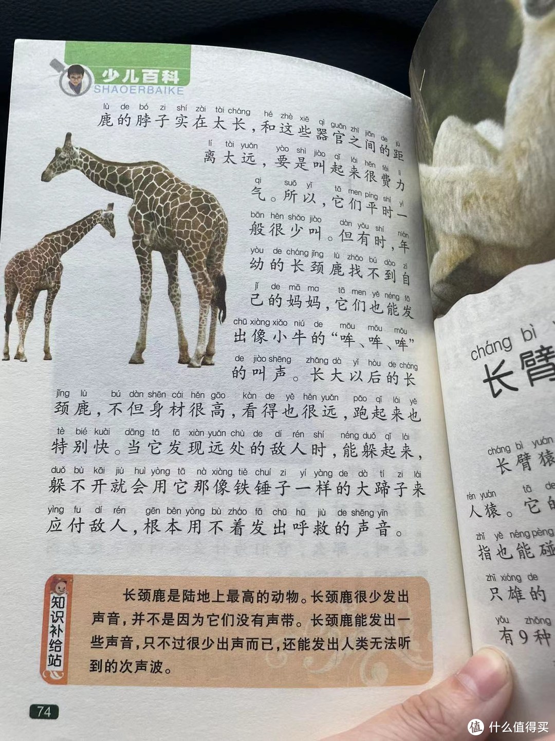 中国孩子的百科全书之为什么长颈鹿不会叫