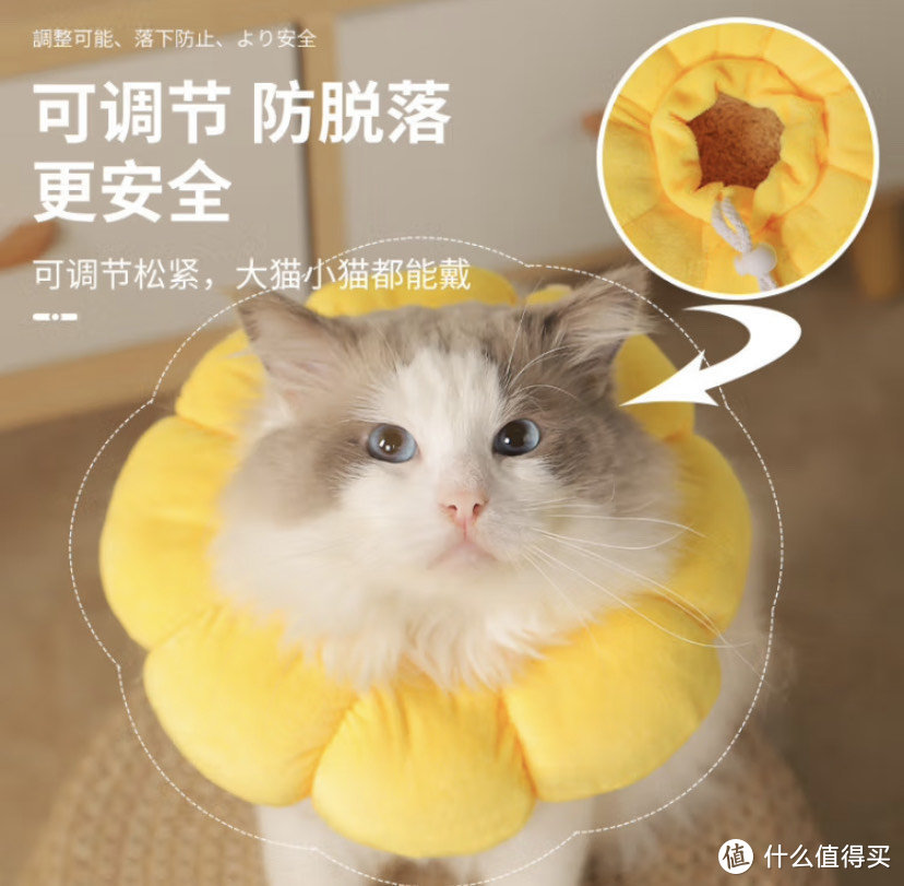 新潮的猫狗项圈头套选购评测