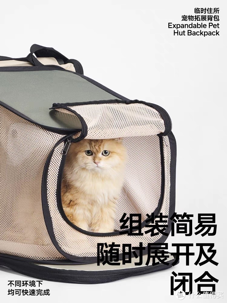 猫咪背包