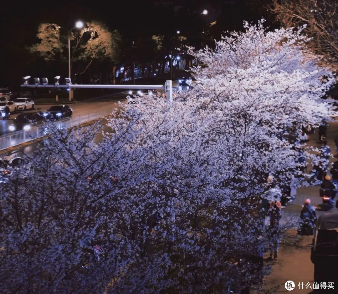 她就是春天最浪漫城市，不接受反驳