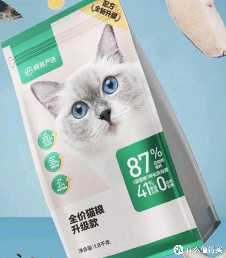 猫粮的选择