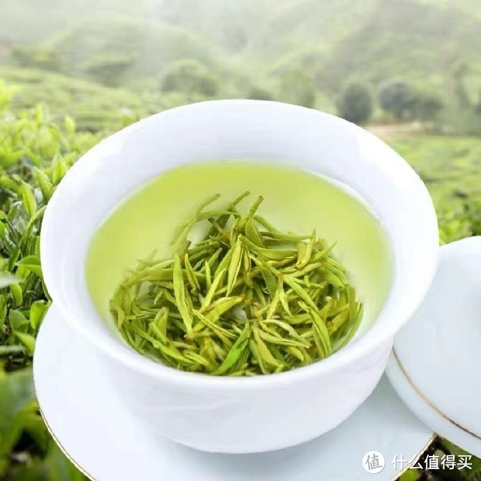品一杯绿茶，赏几段春光。
