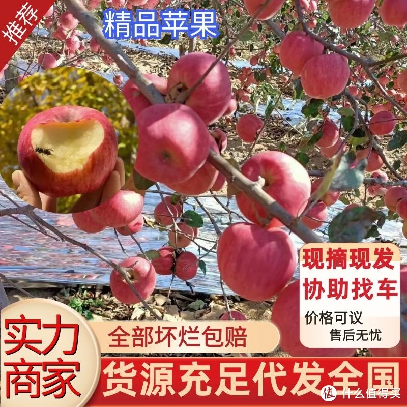 03月27日，优质山东产地苹果一手货源推荐