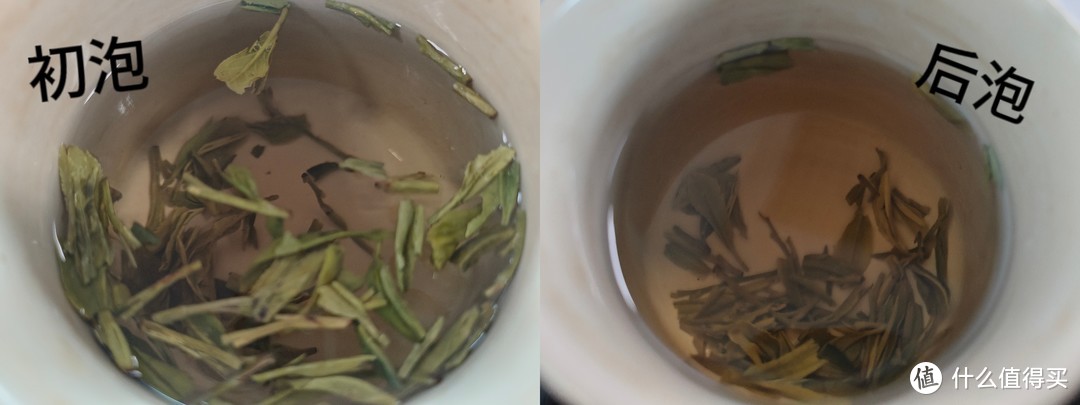 春茶选购5大标准评析