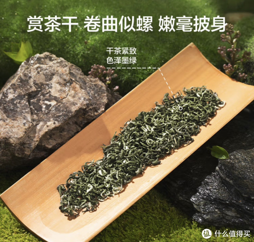 春茶著名产品，碧螺春茶叶选购评测