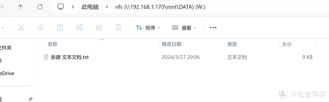 Truenas Scale 23.10设置保姆教程2(NFS和iSCSI共享)