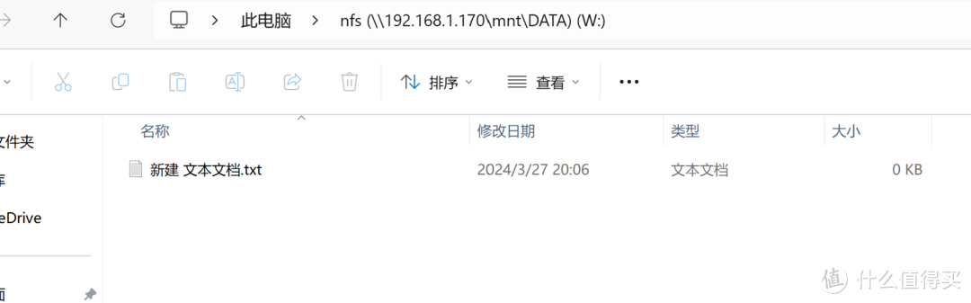 Truenas Scale 23.10设置保姆教程2（NFS和iSCSI共享）