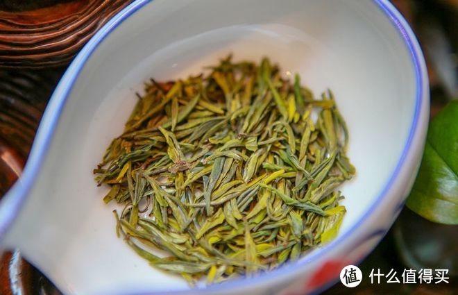 中国四大黄茶，哪种最好喝？