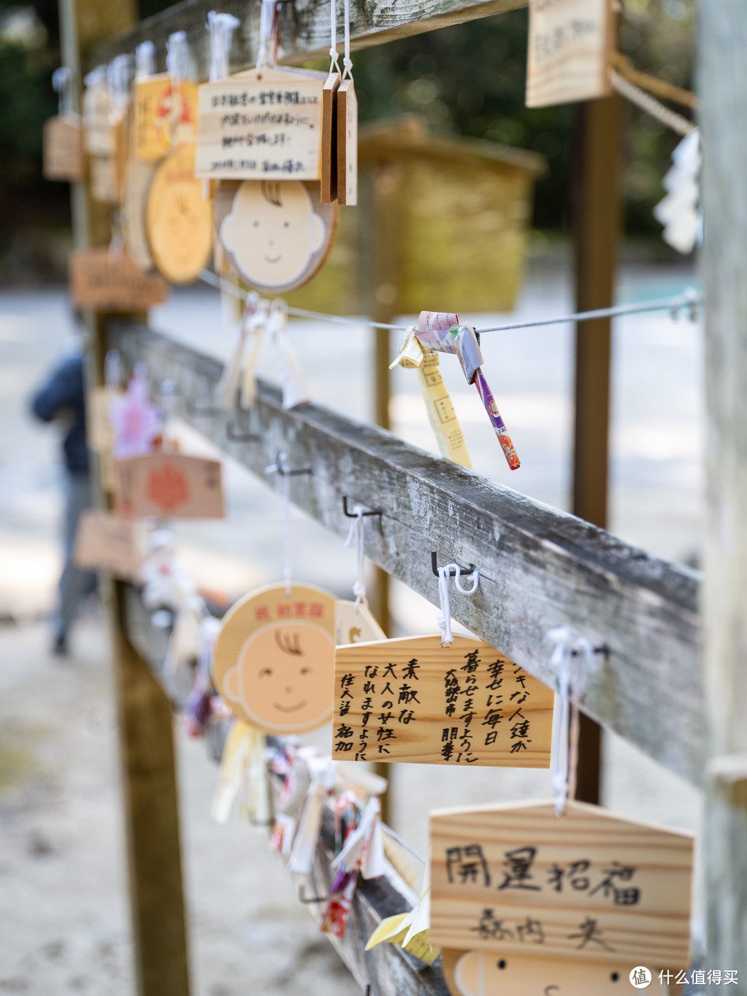 2024春节日本之行-DAY5-再见白滨，你好Kyoto